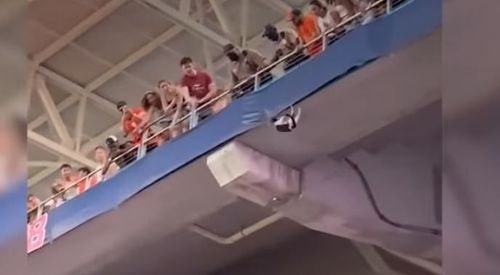 Etats Unis Un Chat Miraculeusement Sauve Dans Un Stade Devant 77 000 Personnes Atlantico Fr